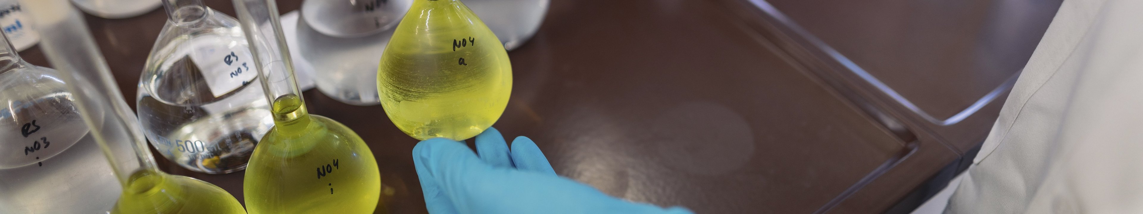 Hände mit blauen Handschuhen halten ein Reagenzglas mit gelber Flüssigkeit